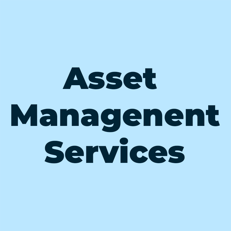 Professional Asset Management Services | Synergy Evolution